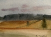 REIDUN TORDHOL  Eng og skog   akvarell  11x15cm