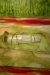 For arkivet 2023-2025 olje 150x100cm